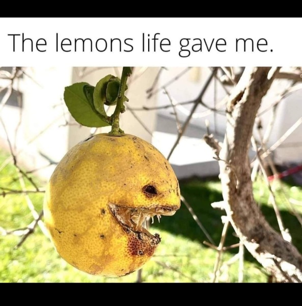 DLA WAIT TIME THREAD 39