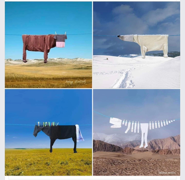 Putting washing on the line in the sun