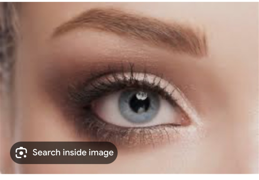 Are my eyebrows really bad?