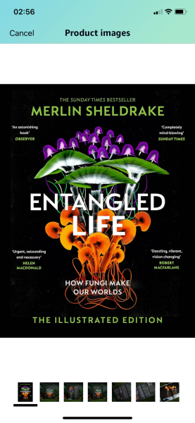 A book with a beautiful cover as a gift for an intelligent woman