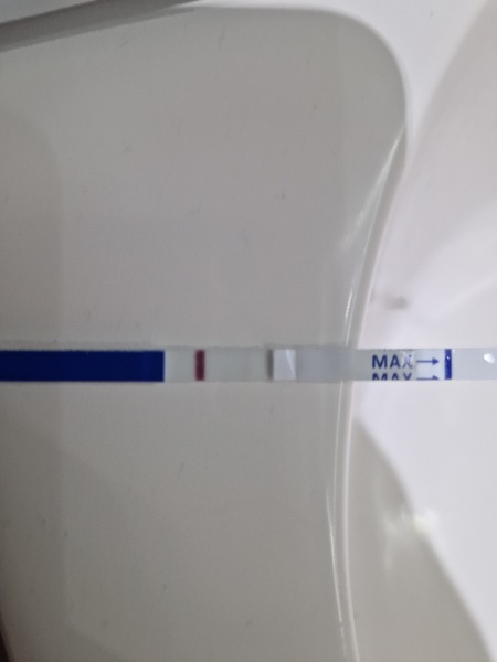 TTC after miscarriage TWW