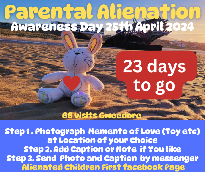 Parental alienation expert sanctioned in UK now advising family courts in Ireland