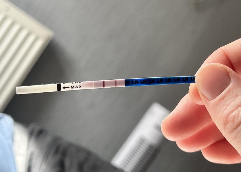 Dark ovulation test