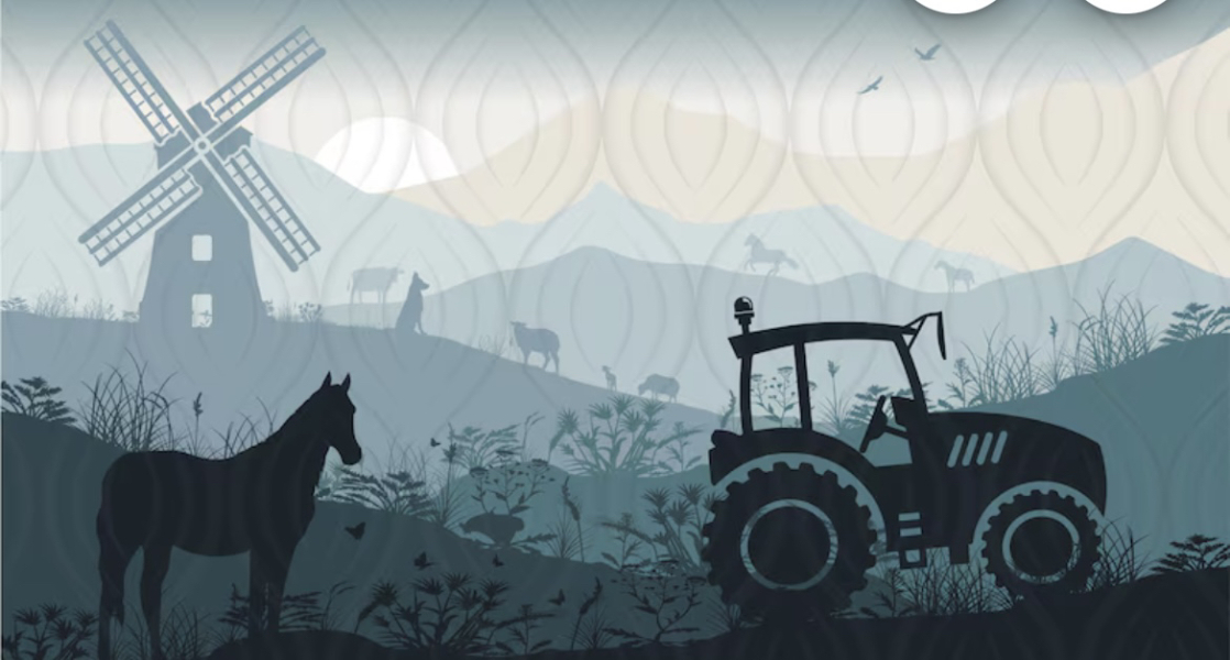 September 2024 - Thread 6! 🐣🧡💛❤️