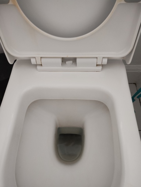 Replacing toilet seat