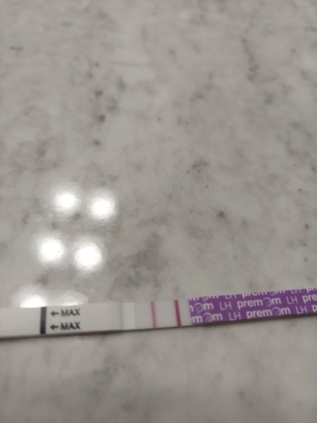 LH strip help/ 2 week wait