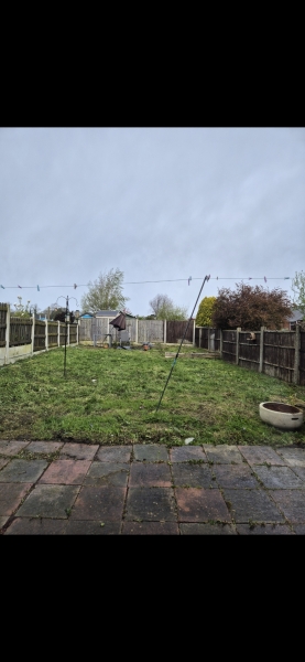 Help me, crap gardener and new home!