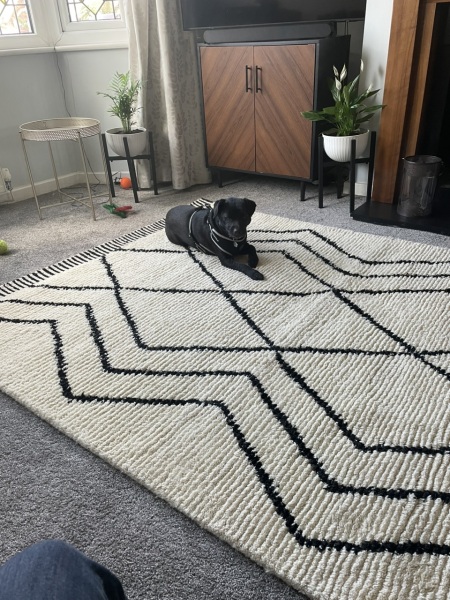 Rug position advice (pic includes dog for traffic!)