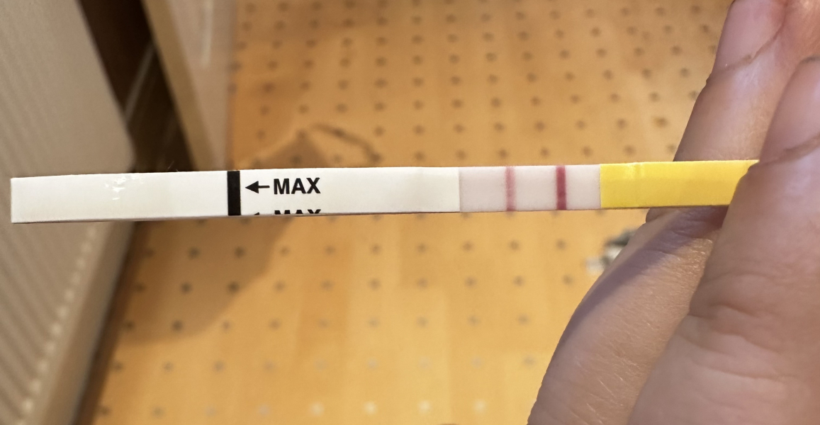 Dec-Christmas Babys 2024