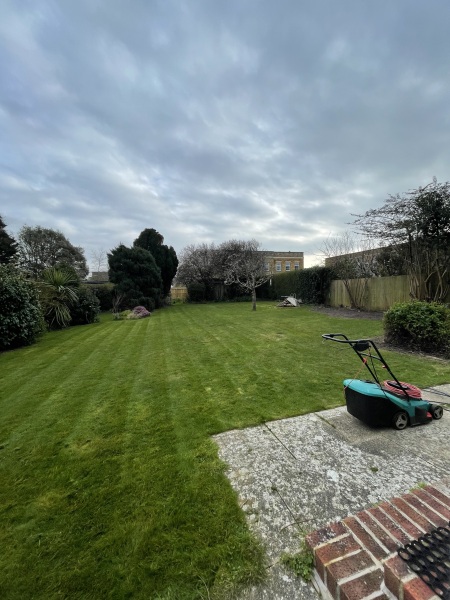 Does anyone have a corded lawnmower that they actually love?