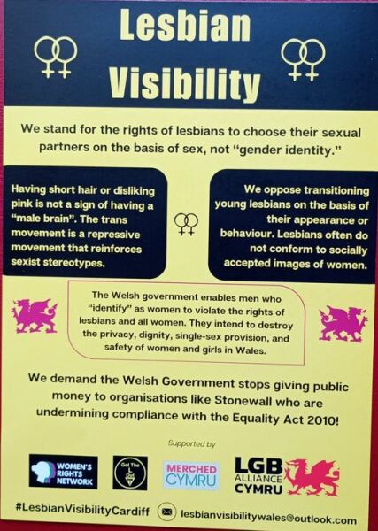 As Lesbians are NOT visible in Lesbian visibility week please add news and celebration about lesbians