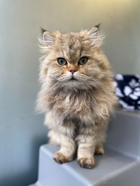 Help me find a name!!