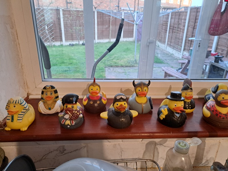 Anyone bought a rubber duck?