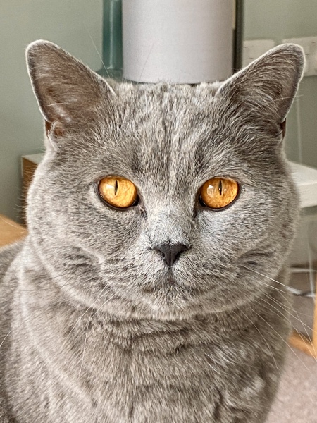 Thread 13 - TalkLair: “I say we take off and nuke the entire site from orbit. It's the only way to be sure.”