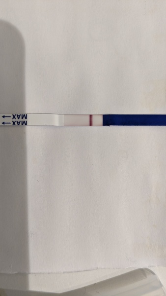 1dpo buddies