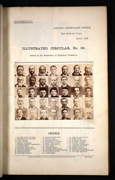 Interesting discoveries in your tree