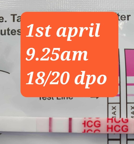 Dec-Christmas Babys 2024