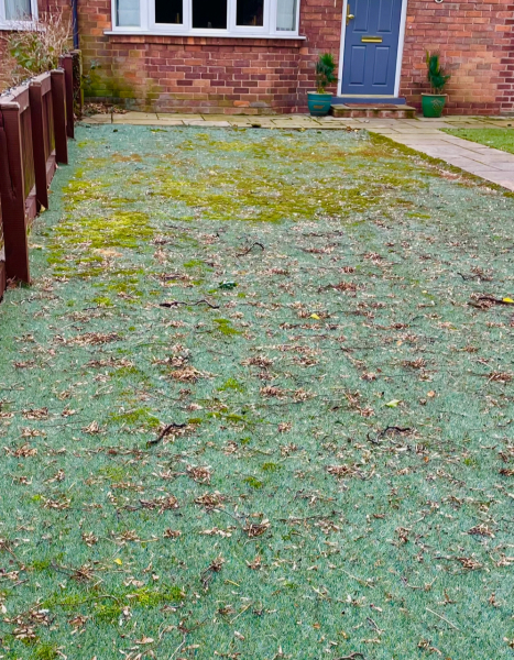 Artificial grass - share experience and where to buy
