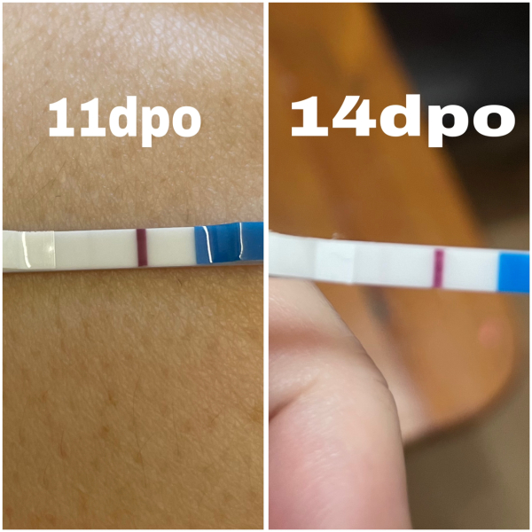 Dec-Christmas Babys 2024