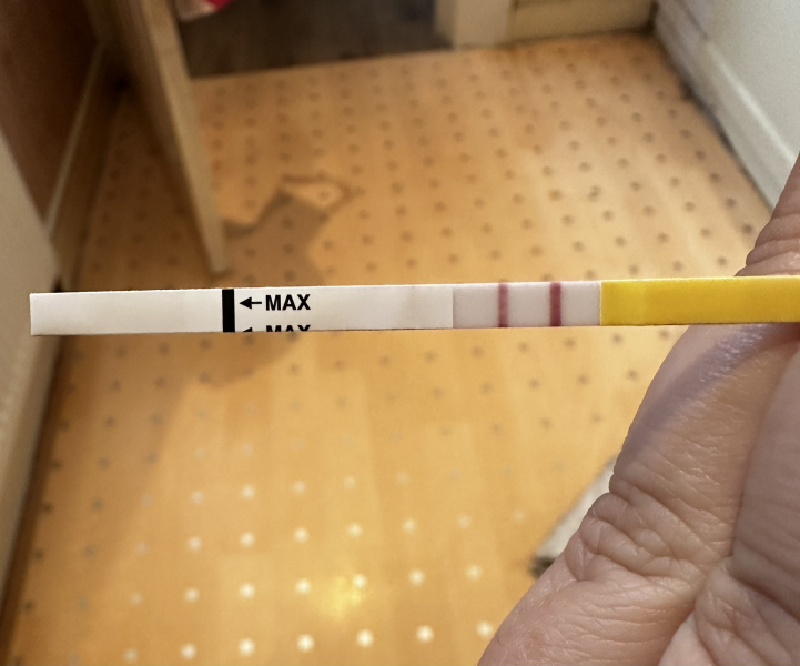 Dec-Christmas Babys 2024