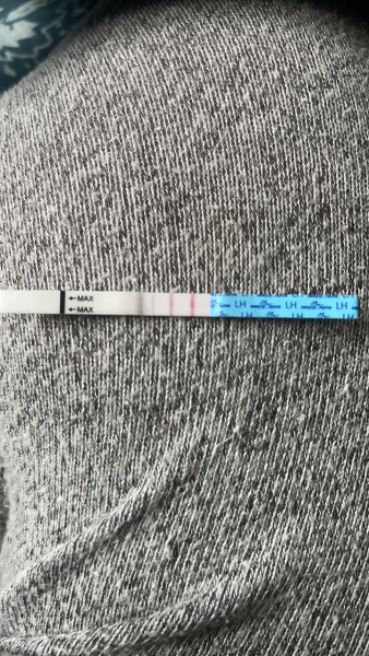 Would ovulation test pick up positive pregnancy?