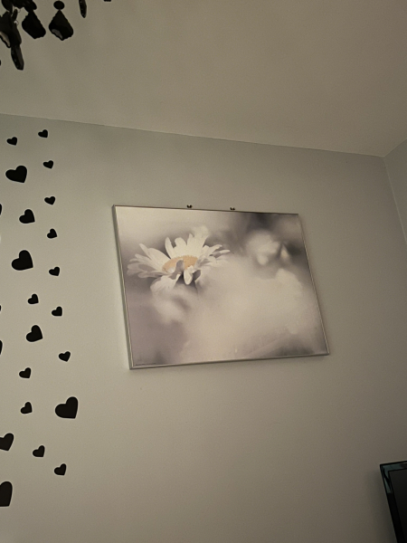Do you have art in your home?