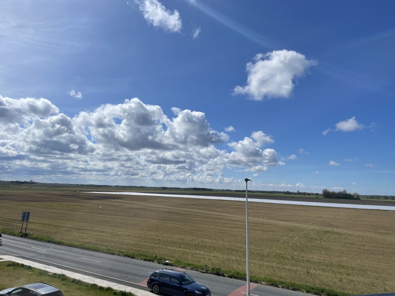 Countdown to Christmas 2024: And So We Begin (Thread 1)