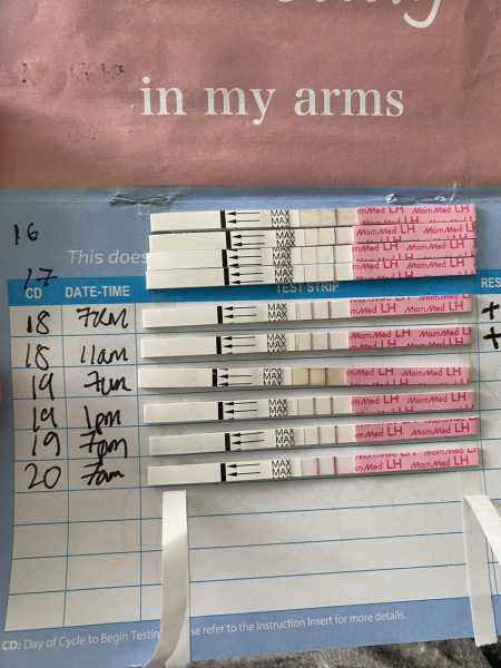 Am I still pregnant? Or chemical?