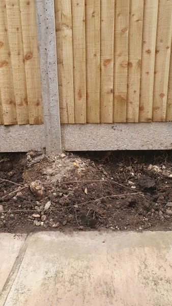 To ask neighbour to reinstate the fence as was?