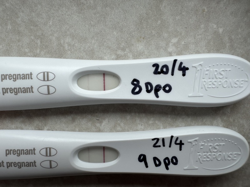 Due Jan 2025