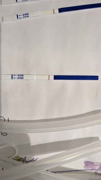 1dpo buddies