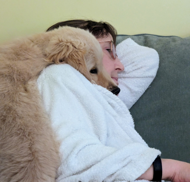 What do I need to know about getting a golden retriever?