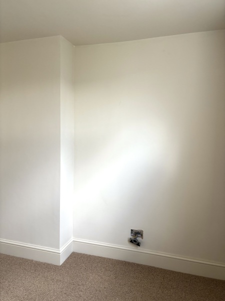 September 2024 - Thread 6! 🐣🧡💛❤️