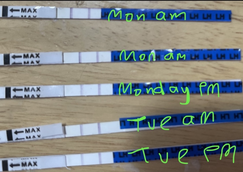 Two week wait anyone?