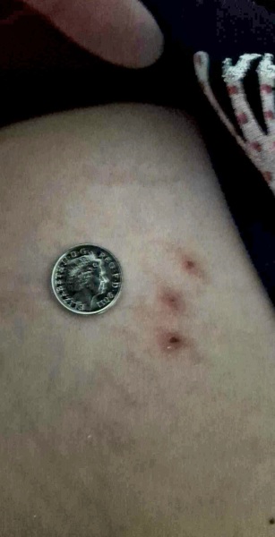 Help with identifying this