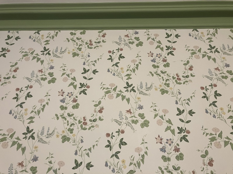 What's the most beautiful wallpaper you've seen?