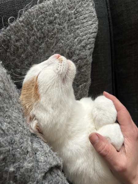 Meet Ralph