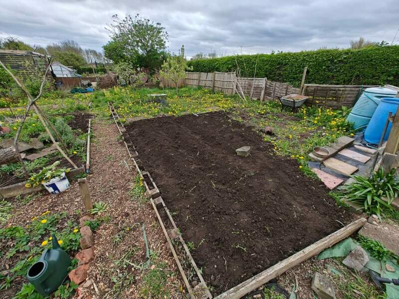 The Vegetable Patch 2024/2025