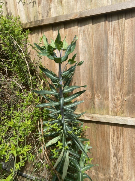 Can anyone tell me what this is?