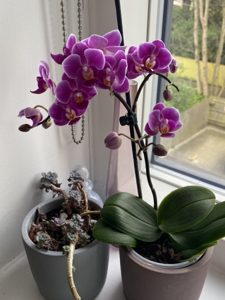 Thread 13 - TalkLair: “I say we take off and nuke the entire site from orbit. It's the only way to be sure.”