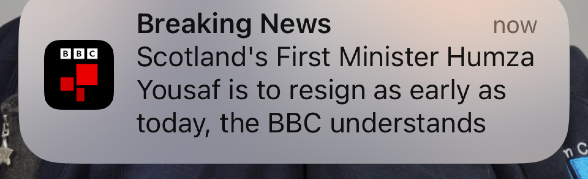 The Scottish Greens are revolting
