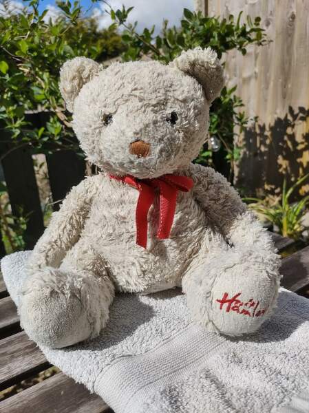 Do you know this bear? Lost at J2 M42