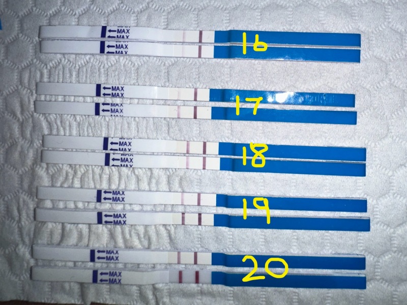 Dec-Christmas Babys 2024