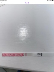 First bfp