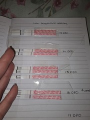 Dec-Christmas Babys 2024