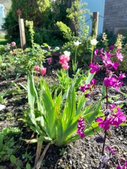 Pregnancy after loss support