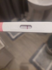 What could be going on?