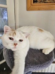 Missing since 5pm