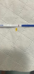11dpo bfn.. but was so convinced I’m pregnant?!