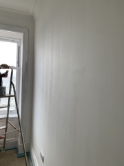 What’s wrong with our newly plastered & painted walls?